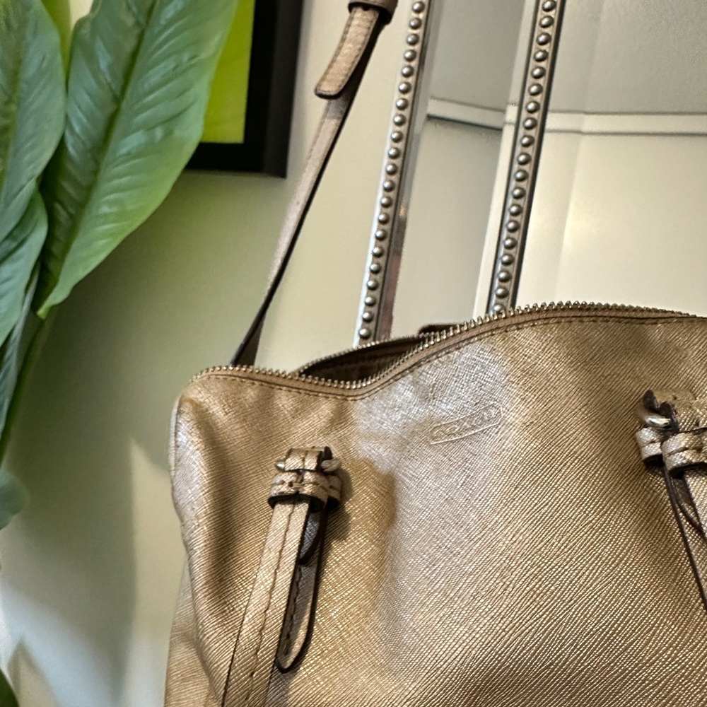 Coach Tan Leather Crossbody Bag